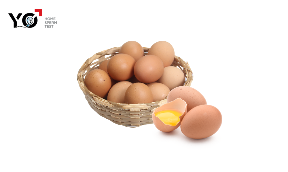 Trứng gà chứa nhiều protein và axit amin có lợi cho sức khỏe sinh sản nữ giới 