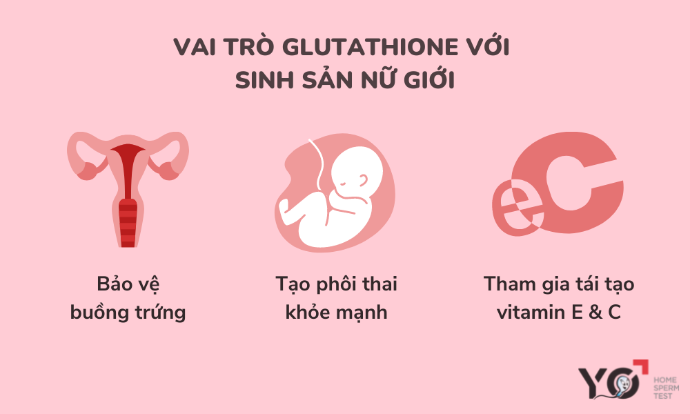 Vai trò của Glutathione đối với sinh sản ở nữ giới