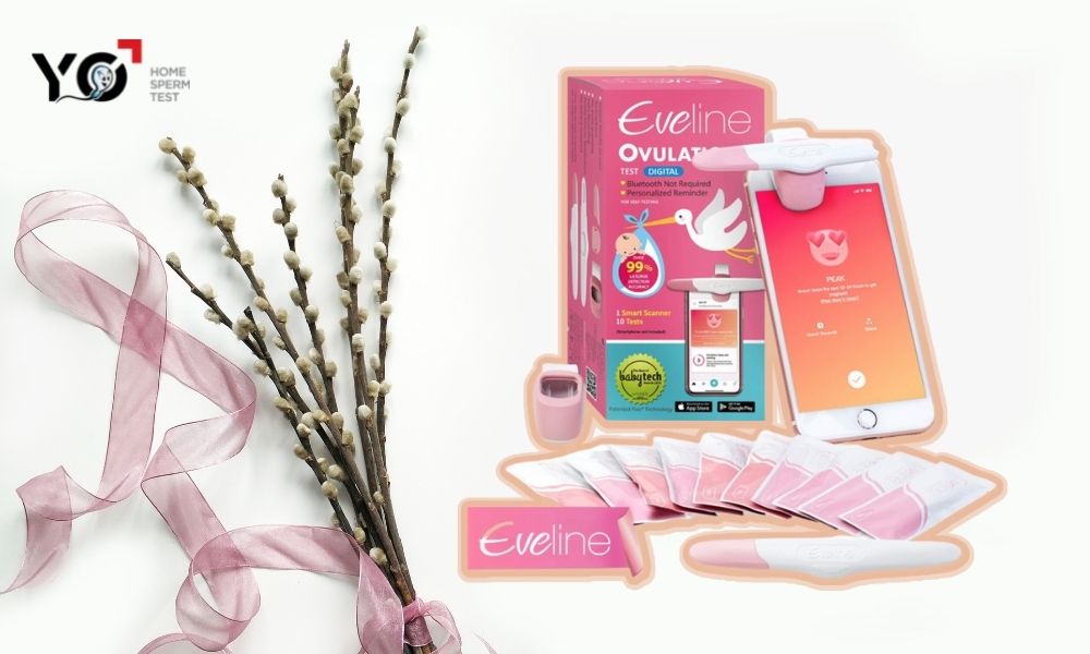 Sử dụng bộ que thử rụng trứng điện tử Eveline Care là cách tăng khả năng thụ thai nhanh nhất