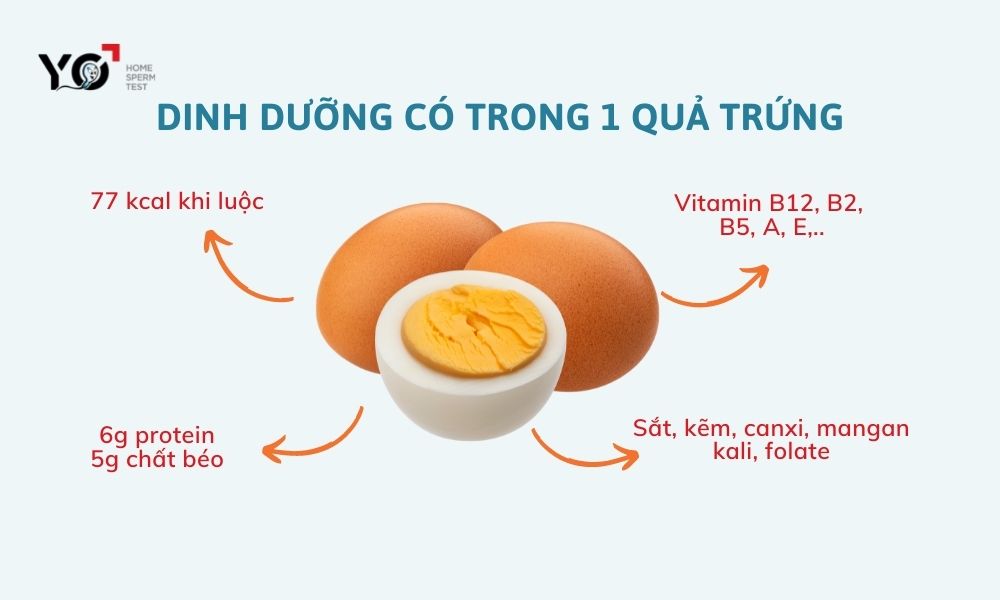 Hàm lượng dinh dưỡng dồi dào có trong trứng gà luộc