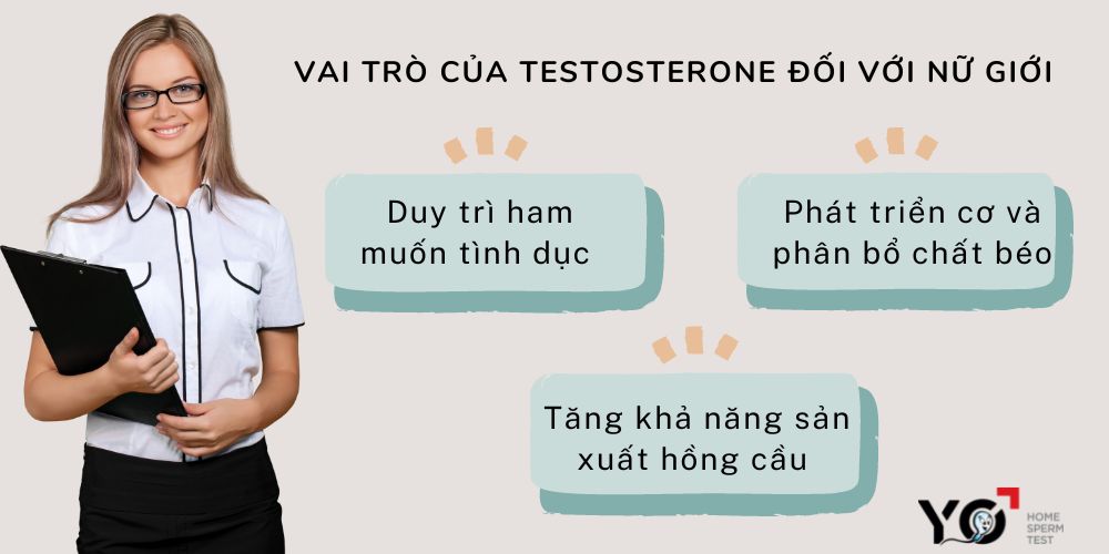 3 vai trò của Testosterone đối với cơ thể nữ giới