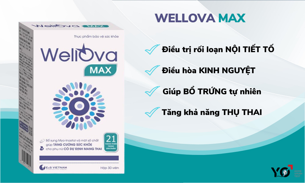 Viên uống bổ trứng WellOva Max hỗ trợ tăng Estrogen tự nhiên