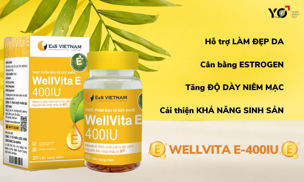 Viên uống WellVita E-400IU sản phẩm bổ sung Estrogen hiệu quả