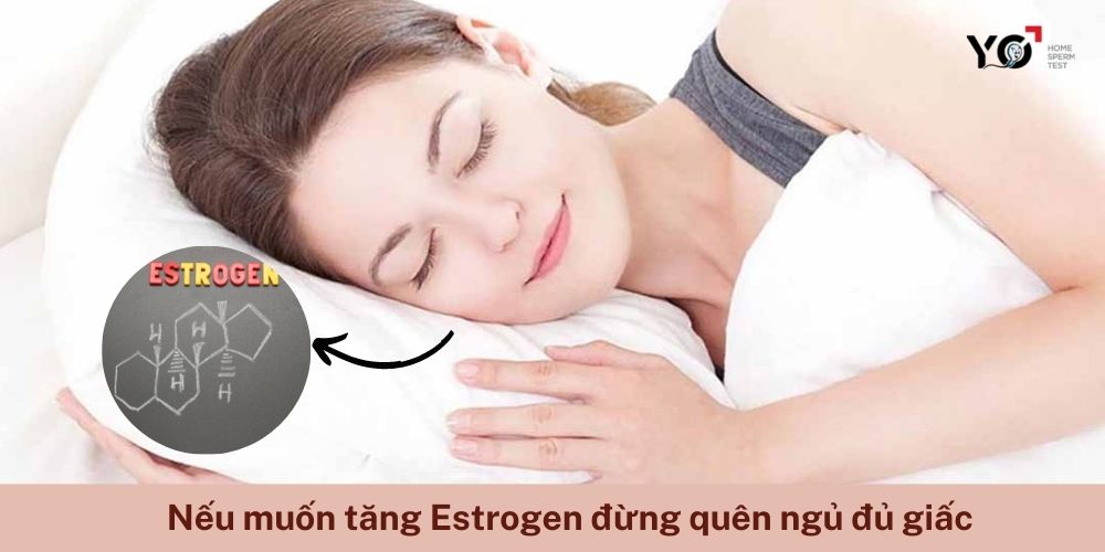 Ngủ đủ giấc để tái tạo Estrogen hiệu quả