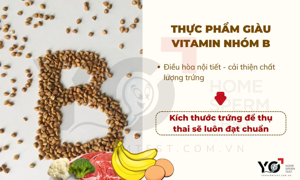 Bổ sung thực phẩm giàu vitamin nhóm B