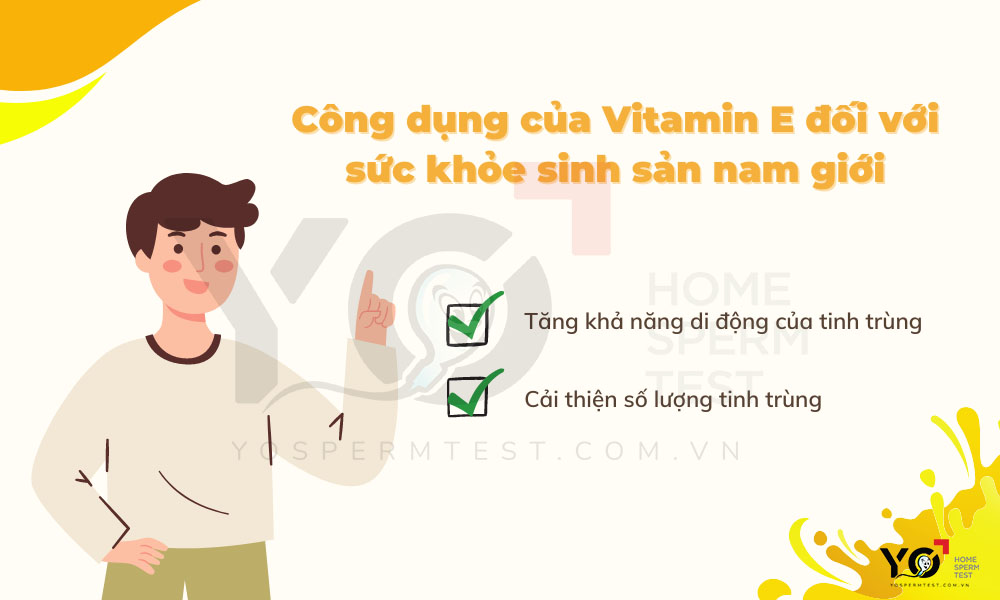 công dụng của Vitamin E đối với nam giới