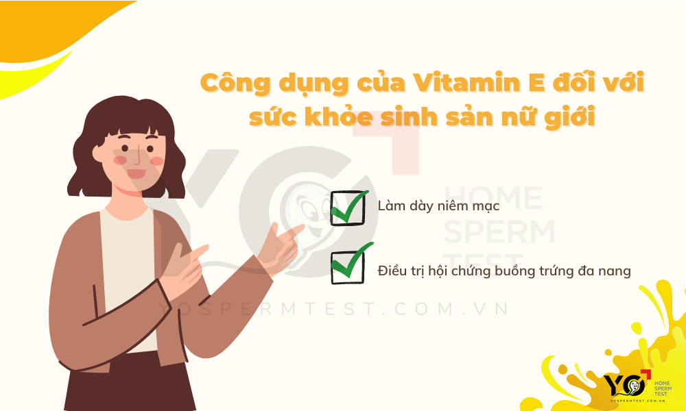 Những công dụng của Vitamin E đối với nữ giới