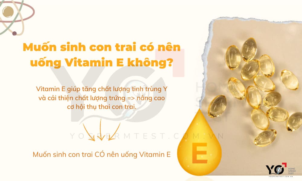 Bố mẹ nên uống Vitamin E nếu muốn sớm sinh con trai