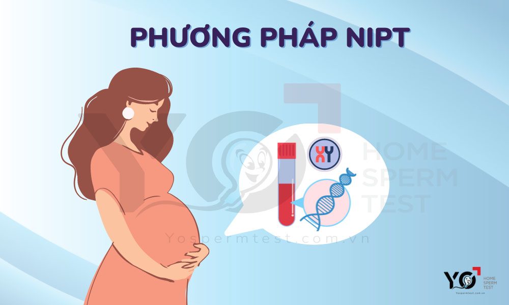 NIPT là phương pháp xác định giới tính thai nhi nhanh và chính xác nhất