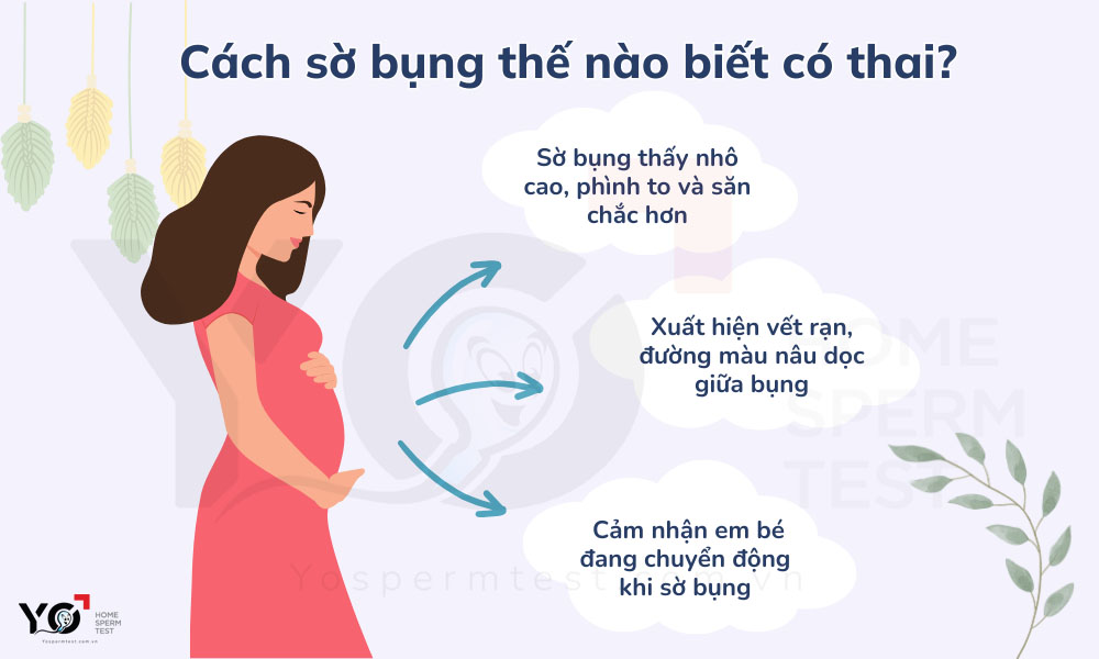 Cách sờ bụng thế nào biết có thai?