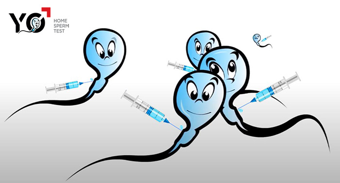 Anh huong vaccine Covid 19 den kha nang sinh san 1