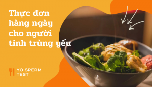 Thực đơn hàng ngày cho người tinh trùng yếu