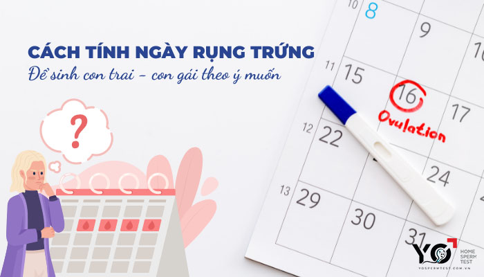 Thumb Yo 700 × 400 px 1