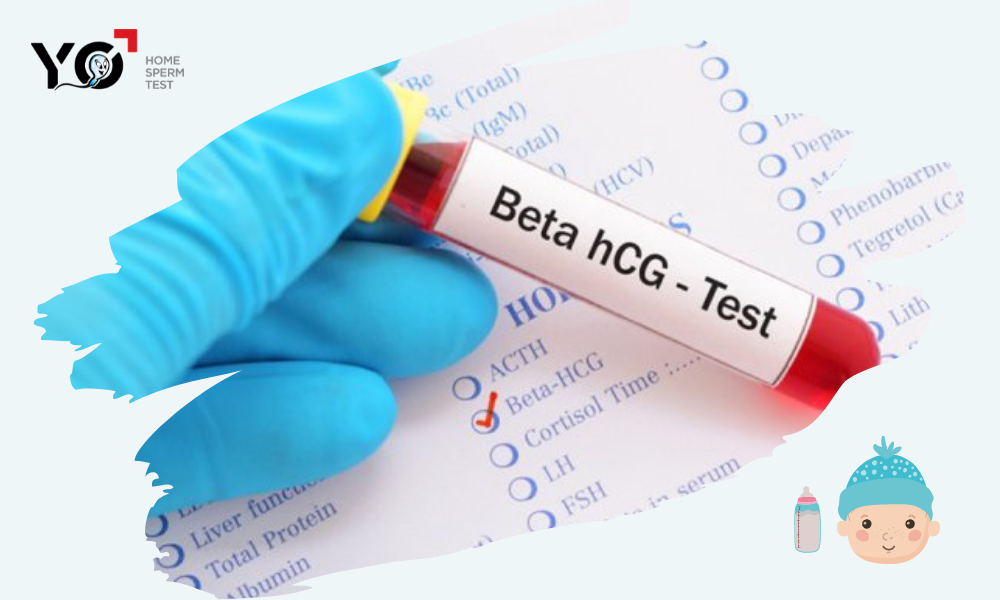 Dấu hiệu mang thai con trai bằng xét nghiệm Beta hcG 