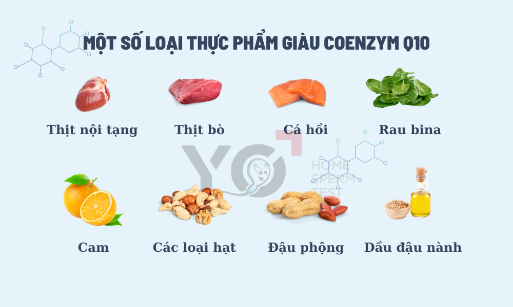 thuc-pham-giau-coenzyme-q10