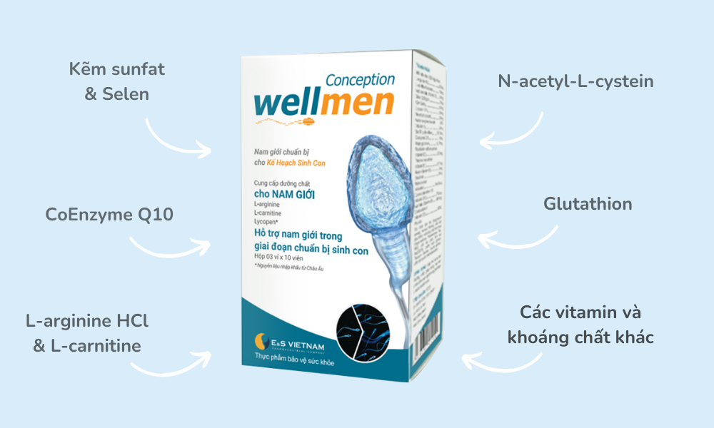 Cải thiện chất lượng tinh trùng bằng cách bổ sung Wellmen Conception là bí quyết sinh con trai hiệu quả