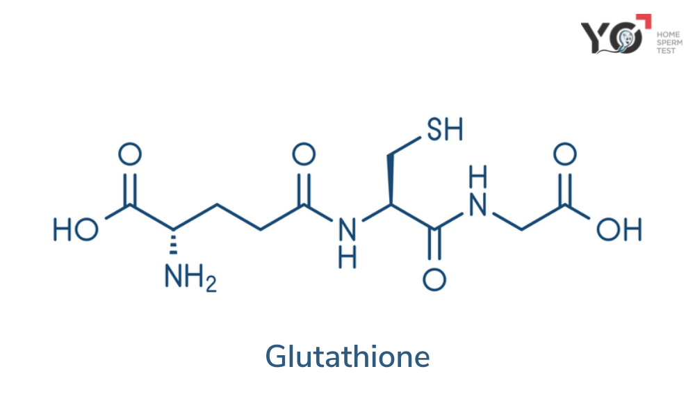 Công thức cấu tạo của Glutathione
