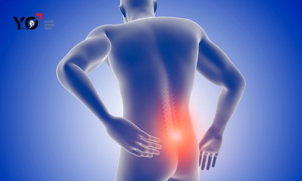 Xuất tinh nhiều gây ảnh hưởng vùng xương chậu, đau lưng, đau cơ kéo dài