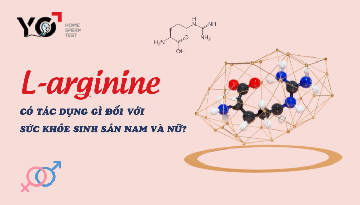 L-arginine hcl ảnh hưởng gì đến huyết áp của người sử dụng?