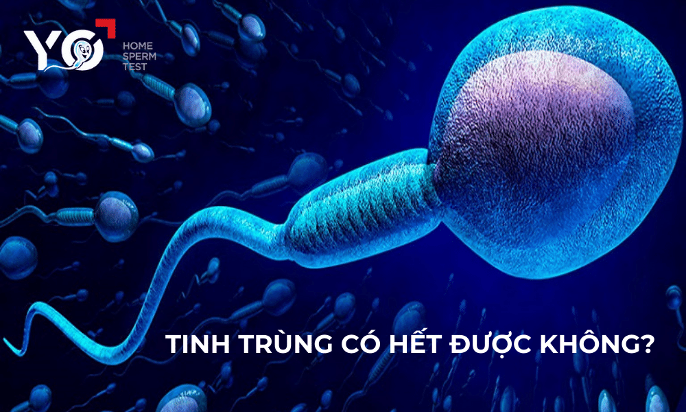 Tinh trùng có hết được hay không?