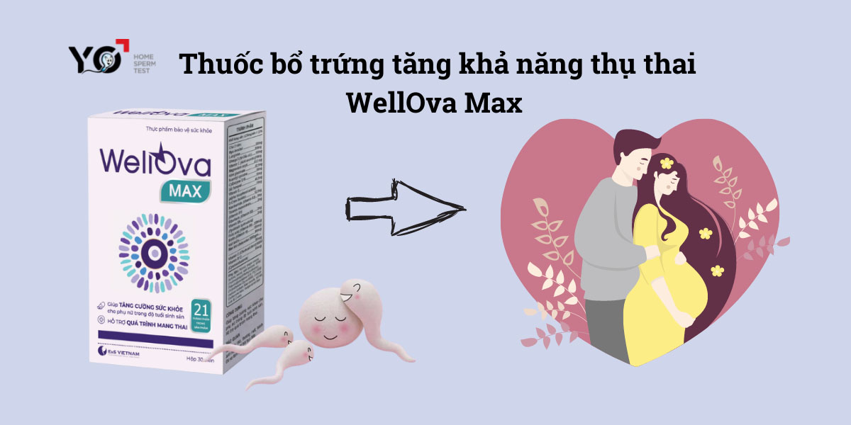 Viên uống bổ trứng WellOva Max giúp tăng khả năng thụ thai