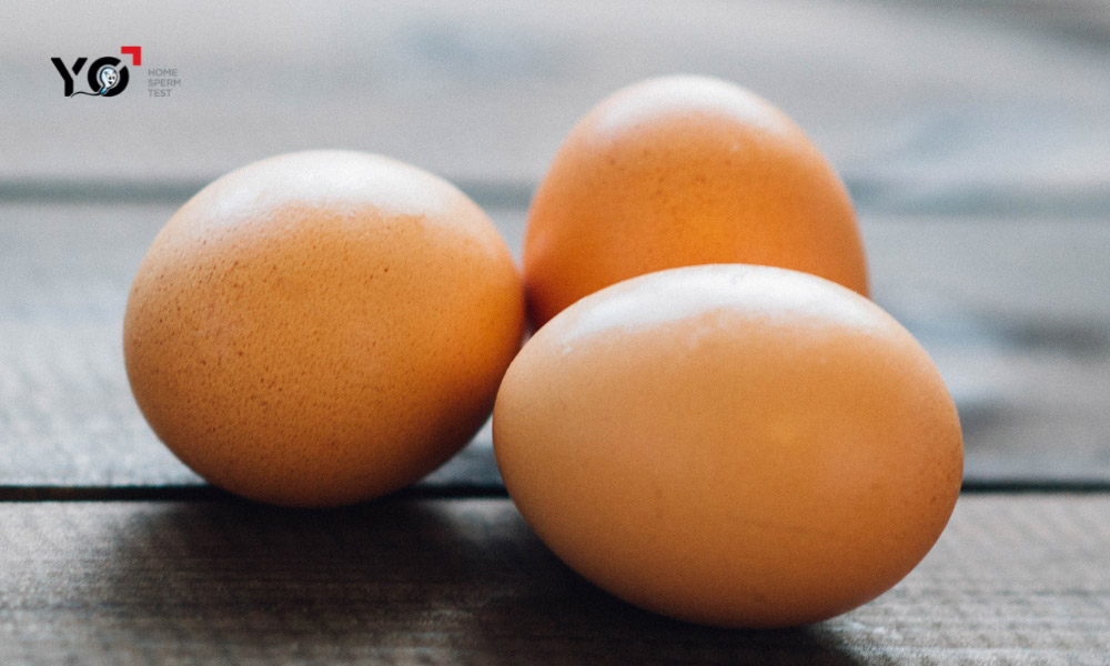 Trứng gà giúp tăng hưng phấn và kéo dài độ cương cứng của dương vật khi quan hệ