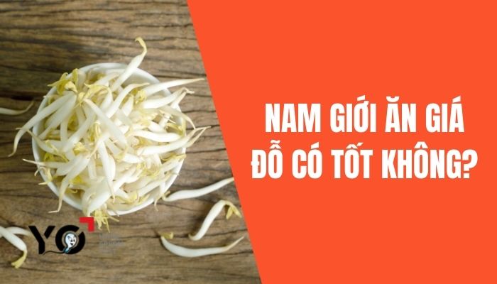 Nam giới ăn giá đỗ có tốt không