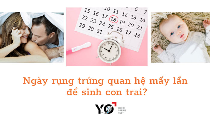 Ngày rụng trứng quan hệ mấy lần để sinh con trai?