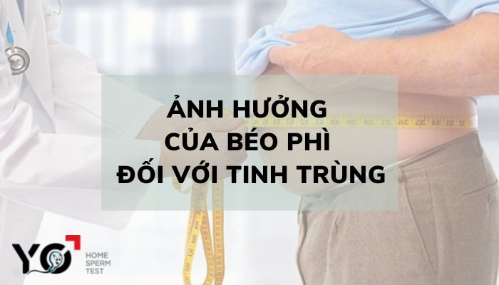 anh huong cua beo phi toi tinh trung