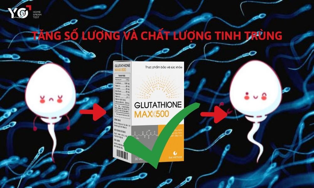 Glutathione Maxx500 - tăng cường sức khỏe sinh sản phái mạnh