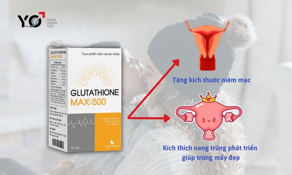 Glutathione Maxx500 - bổ sung Glutathione giúp trứng mẩy đẹp, dễ thụ thai