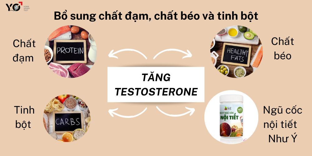 Bổ sung chất đạm, chất béo và tinh bột là cách tăng Testosterone