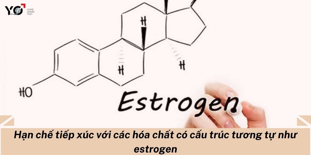 Các chất có cấu trúc tương tự như estrogen ảnh hưởng đến Testosterone