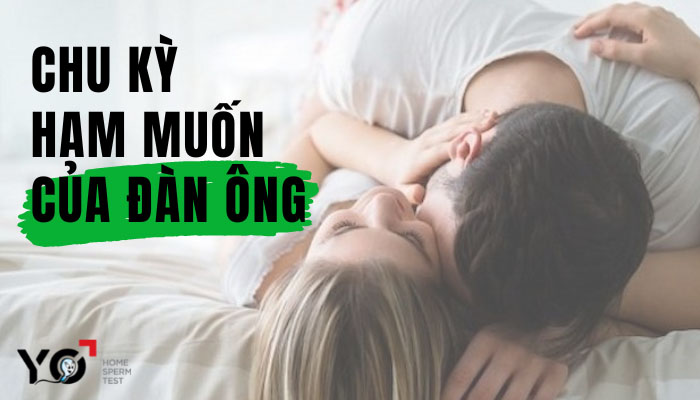 Chu kỳ ham muốn của đàn ông