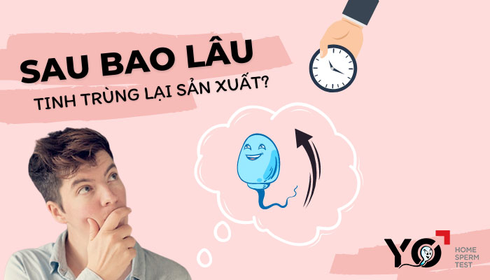Sau bao lâu tinh trùng lại sản xuất