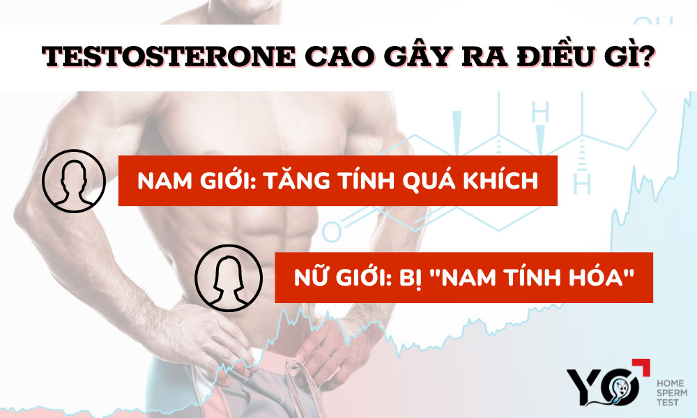 Testosterone cao ảnh hưởng xấu tới cơ thể