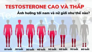 Testosterone cao và thấp ảnh hưởng như thế nào đến nam và nữ giới?