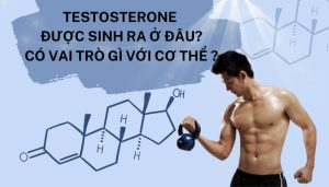 Testosterone là gì? Có vai trò gì?