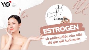 Estrogen có vai trò gì?