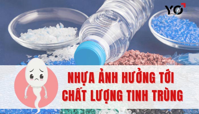 Nhựa ảnh hưởng tới tinh trùng như thế nào?