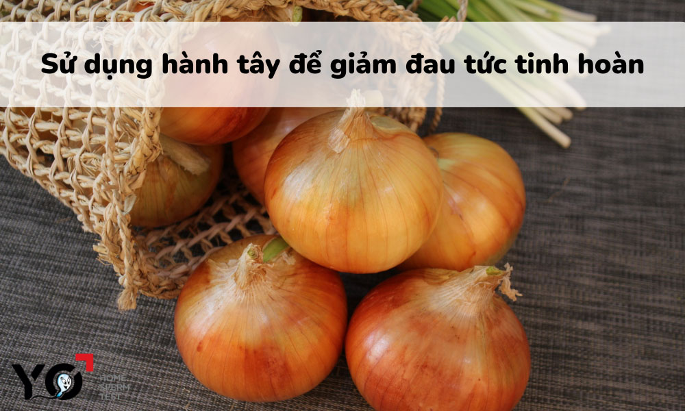 Sử dụng hành tây để chữa đau tinh hoàn