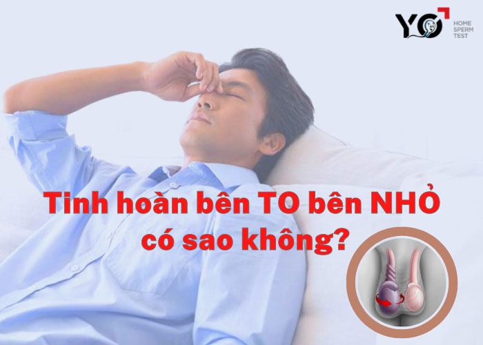 Tinh hoàn bên to bên nhỏ có sao không?