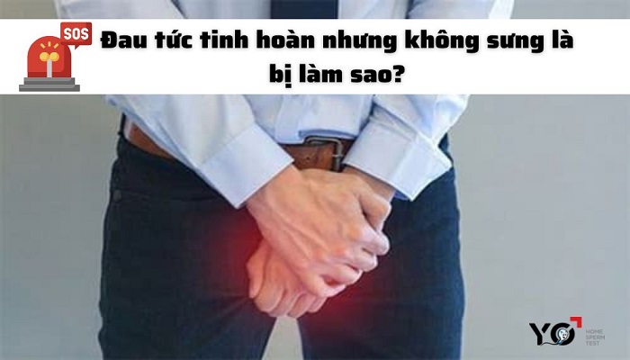 Đau tức tinh hoàn nhưng không sưng