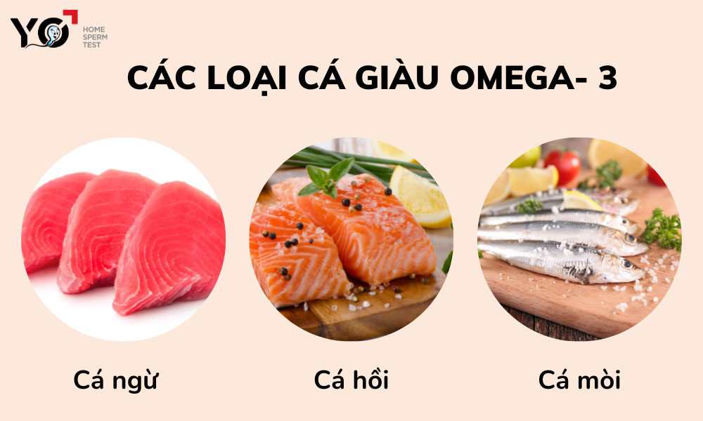 Các loại cá giàu omega 3 giúp kéo dài thời gian quan hệ