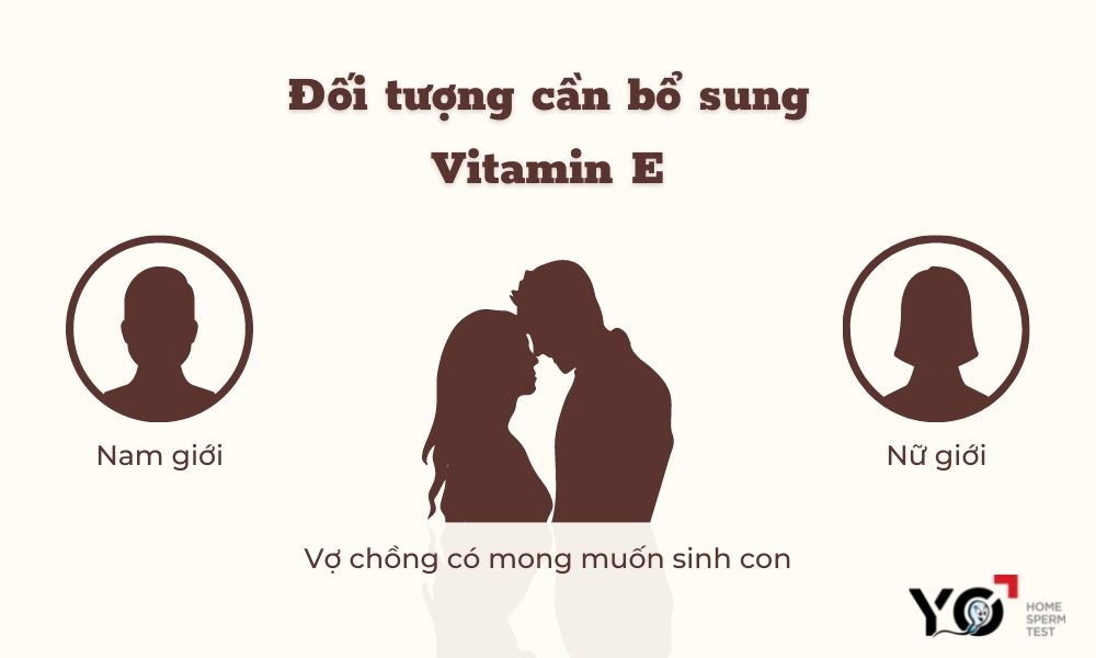Vitamin e dành cho những ai