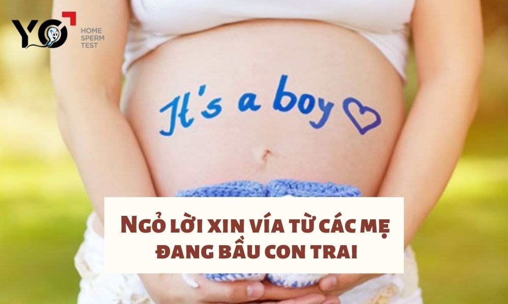 Ngỏ lời xin vía từ các mẹ đang bầu con trai