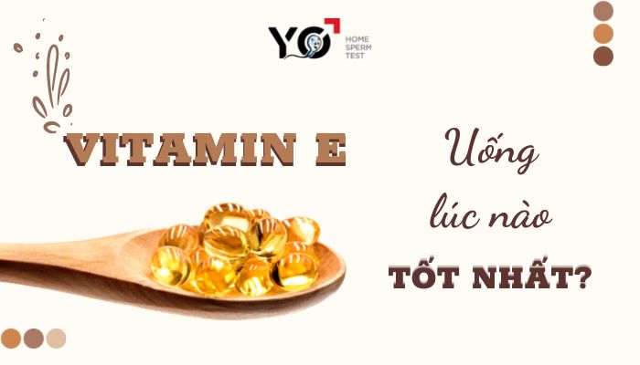 Vitamin e uống lúc nào tốt nhất
