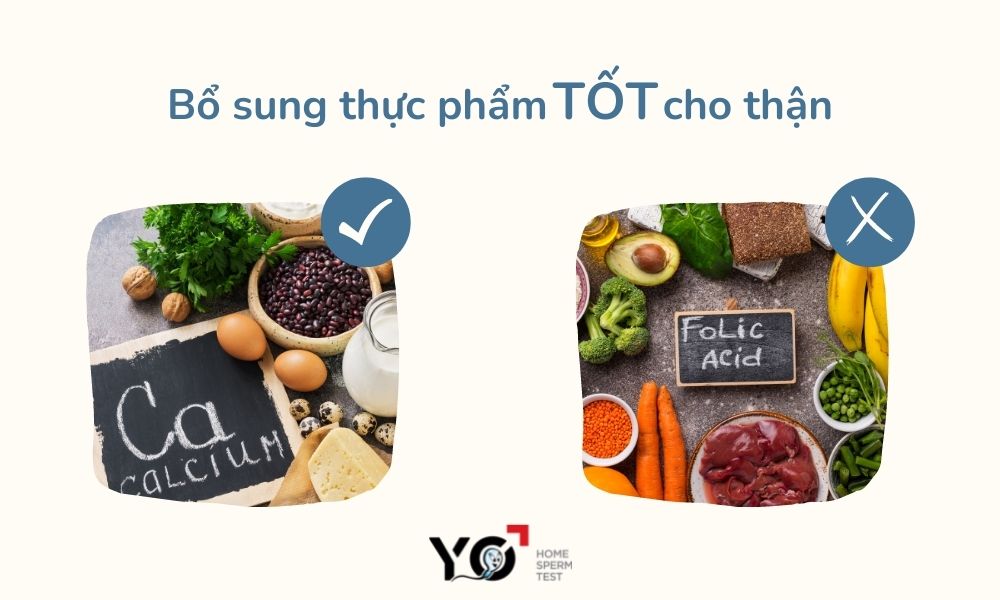 Cung cấp dinh dưỡng tốt cho thận