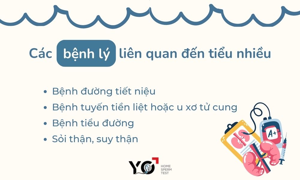 Tiểu nhiều gây ra bệnh lý