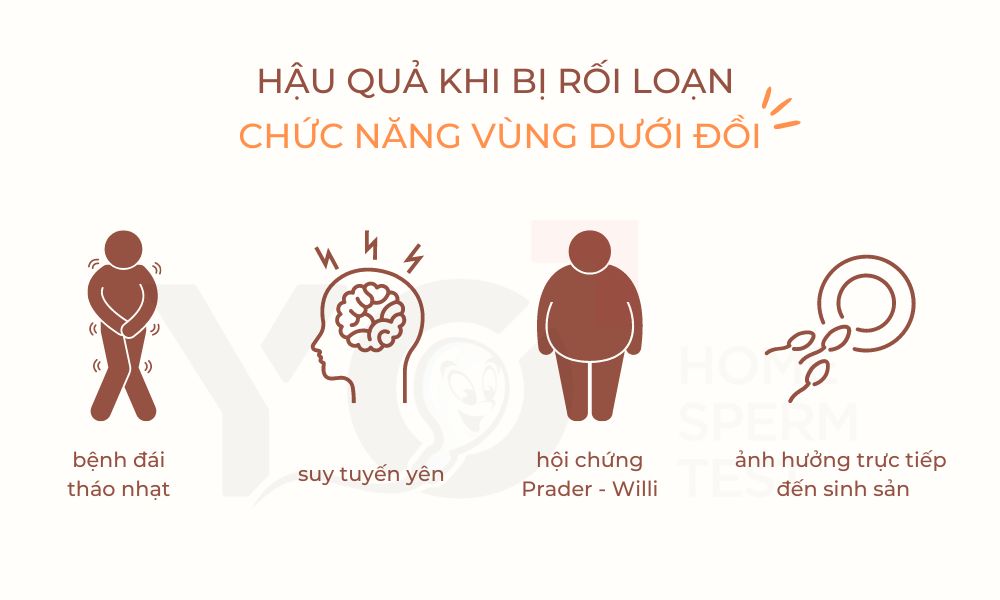 Hậu quả rối loạn chức năng vùng dưới đồi gây ra
